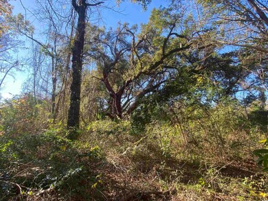 6882 N Fraser St, Georgetown, SC 29440 - photo 2