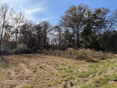 Tract 1 Strawhill (12 4 Acres) Rd SE, Cleveland, TN 37323 - photo 2