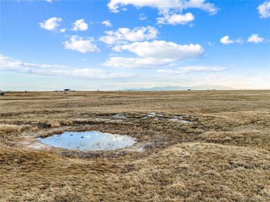 7950 N Peyton Hwy, Peyton, CO 80831 - photo 7