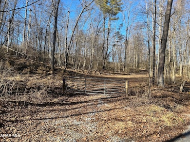 0 Hundred Springs Rd, Warriors Mark Township, PA 16686 - photo 5