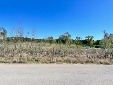 0 Circle Lake Dr, Pinehurst, TX 77362 - photo 4