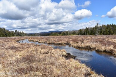 00 Hardscrabble Rd, Chester, NY 10918 - photo 3