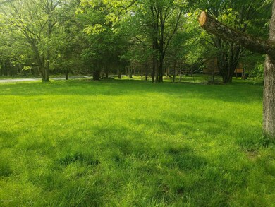 383 N Shore Dr, Albrightsville, PA 18210 - photo 6