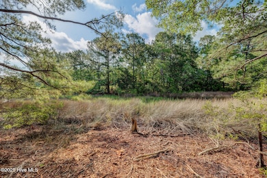 813GullPointRoadMarsh-5