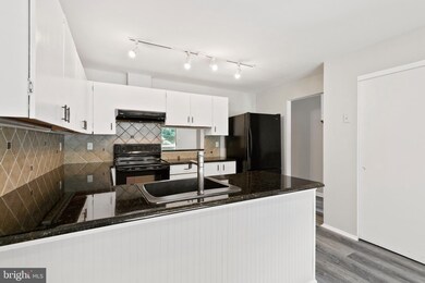 11874 Blue February Way, Columbia, MD 21044 - photo 3