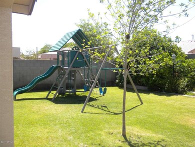 Backyard 3