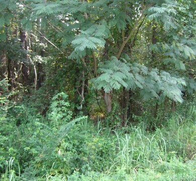 Lot 5 Morton Rd, Gray, GA 31032 - photo 2