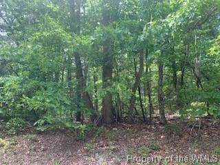 Heavily wooded w/oaks and pines