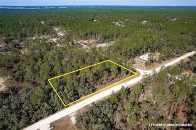 00 SW 75th St, Dunnellon, FL 34431 - photo 3