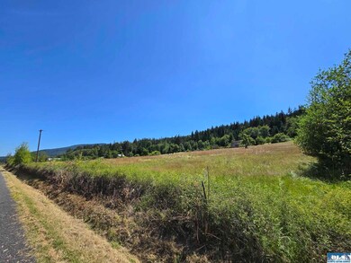 1517 Olson Rd, Sequim, WA 98382 - photo 4