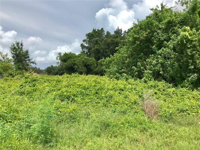 890 Bayard St, Port Charlotte, FL 33948 - photo 5