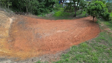 CARR 677 K1 H5 LOTE Bo Espinosa Comm La Pra, Dorado, PR 00646 - photo 2