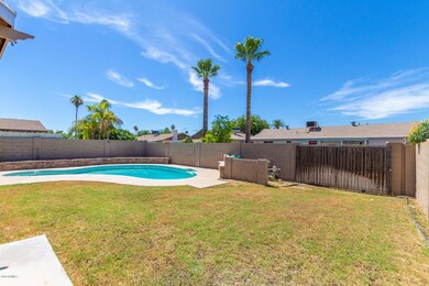 Backyard Pool and Grass area