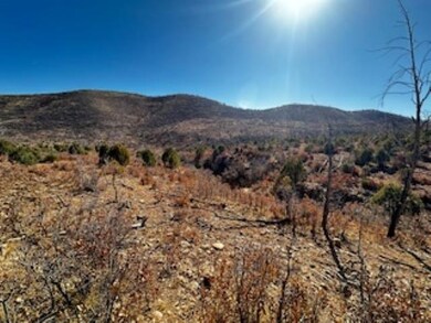 0 16 Springs Canyon Rd unit 171885, Flying H, NM 88339 - photo 2