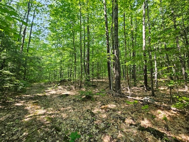 Lot 023-A Oak Hill Rd, Temple, ME 04984 - photo 2