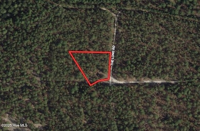 0 Antler Dr unit 100542253, Raeford, NC 28376 - photo 4