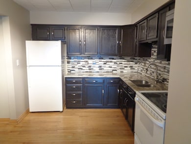 6233 W 94th St unit 1SE, Oak Lawn, IL 60453 - photo 5