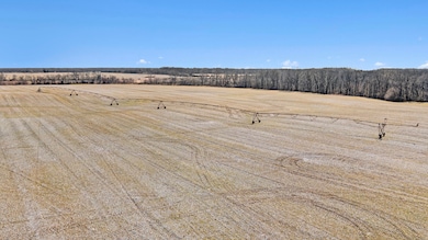 003_dji_0233_721