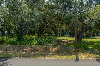 1906 Hobbs Rd, Tampa, FL 33619 - photo 7