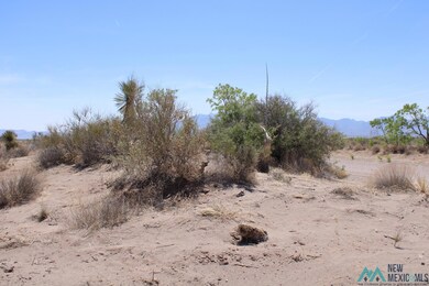 0 Rivera Rd SW unit 20222836, Deming, NM 88030 - photo 5