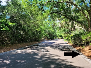 3308 the Lookout, Johns Island, SC 29455 - photo 6