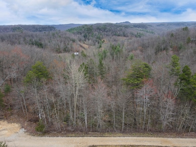 1337 High Rock Rd, Stanton, KY 40380 - photo 5