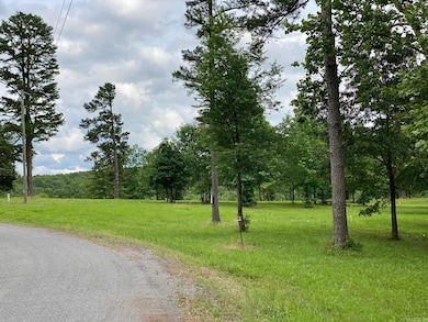 0 Ridge Cir unit 25048299, Quitman, AR 72131 - photo 5