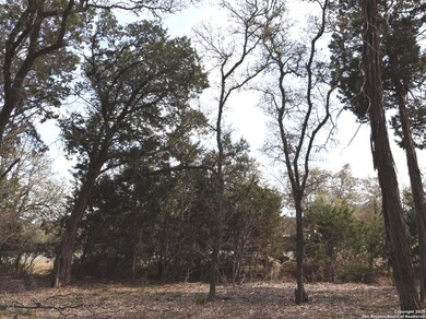 10' border untouched, all sides. 