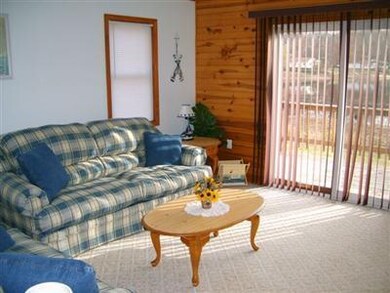 454 W Northern Ave, Brohman, MI 49312 - photo 3