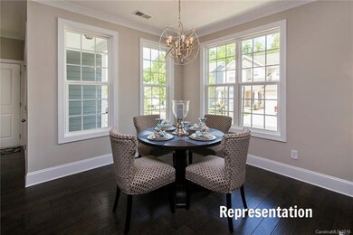 Representational Photo Only