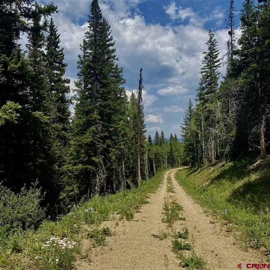 1008 Red Mountain Ranch Upper Loop, Crested Butte, CO 81224 - photo 2