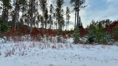 0 County X Rd unit 50318765, Crivitz, WI 54114 - photo 2