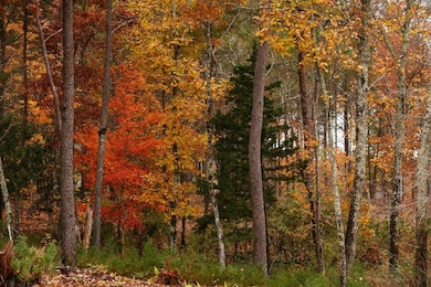 0 Worley Rd unit RTC2810073, Soddy-Daisy, TN 37379 - photo 6