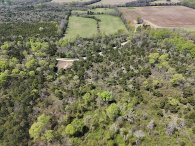 2624 Highway 64, Lewisburg, TN 37091 - photo 7