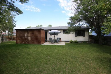 Back View