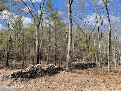 L18.2 Old Kings Rd, New Baltimore, NY 12087 - photo 2