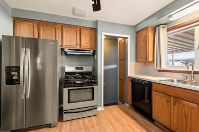 483 Park Ave, Lincoln Park, MI 48146 - photo 3