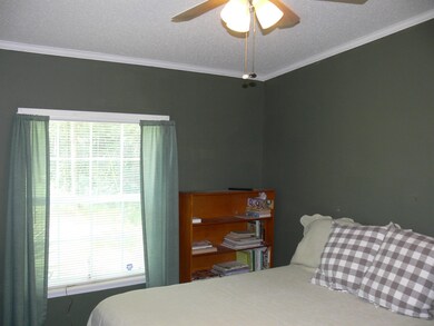 894 Dewitt Smith Rd, Pittsboro, NC 27312 - photo 6