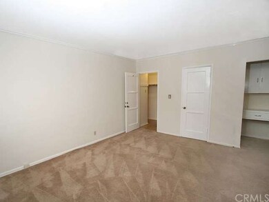Large WALK IN closet to left, Another closet in mi
