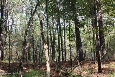 4 Byhalia Rd, Byhalia, MS 38611 - photo 4