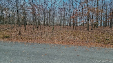 Lot #302 Lake Dr, Jasper Township, MO 65079 - photo 2