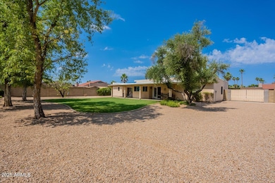 Backyard w/ RV space
