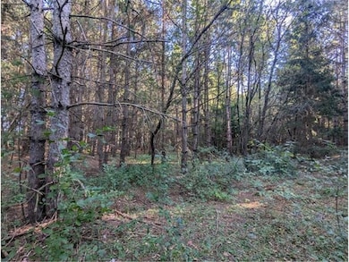 8xx 97th Street St, Amery, WI 54001 - photo 2