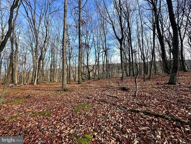 Lot 15 Hickory Ct, Baker, WV 26801 - photo 7