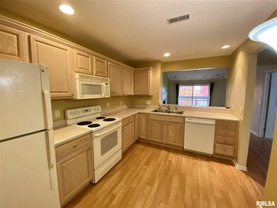 4541 N Thornhill Dr unit 203, Peoria, IL 61615 - photo 2