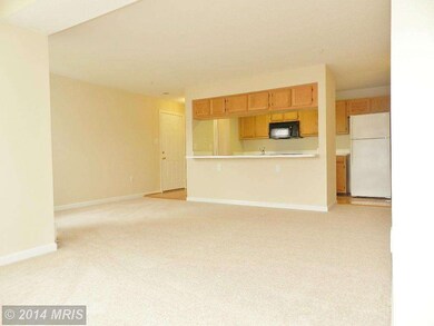 2802 Clear Shot Dr unit 7, Silver Spring, MD 20906 - photo 6