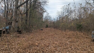 401 Weaver Ln, Charlotte, AR 72522 - photo 7