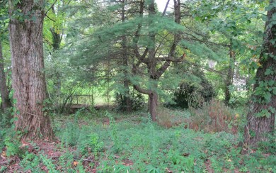 Additional View