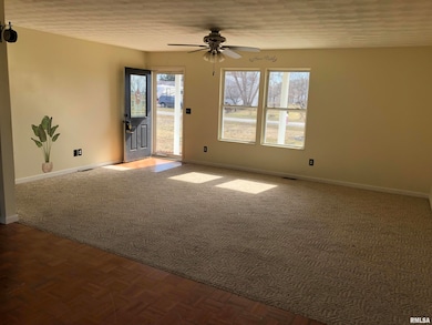 17018 E Thompson Rd, Opdyke, IL 62872 - photo 3