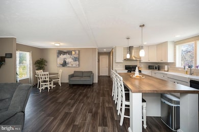 5120 Burr Hill Rd, Rhoadesville, VA 22542 - photo 7